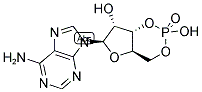 腺苷 - 3' - 5' - 环磷酸
